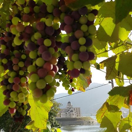 Cherry Flower Višegrad Екстериор снимка